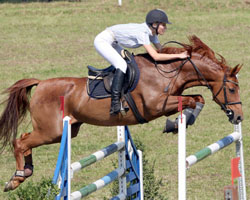 Steffi Zahn mit Dampati galt als Musterbeispiel für stilistisch gutes Reiten. Steffi Zahn mit Dampati galt als Musterbeispiel für stilistisch gutes Reiten.
